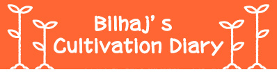 Bilhaj’s Cultivation Diary